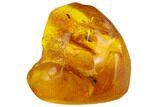 Two Fossil Flies (Diptera) & Spider (Araneae) In Baltic Amber #120650-1
